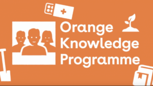 022 Orange Knowledge Programme (OKP) to Study in The Netherlands